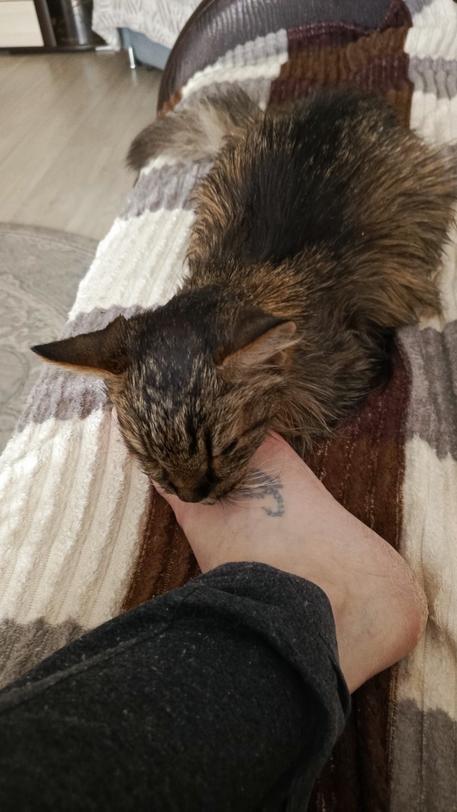 Котопаралич 1 степени