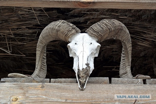 Мое случайное Запорожье