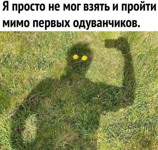 Завалялось тут случайно немного забавных картинок