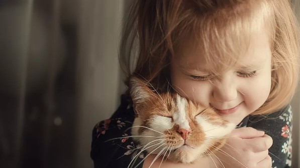 Международный день объятий с кошками отмечается сегодня