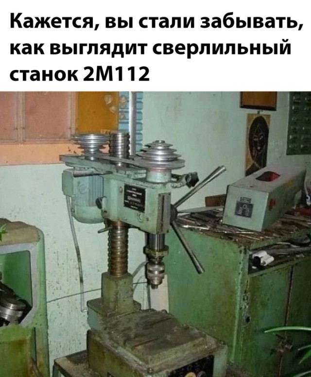 Весёлый полтишок 04.06.2025
