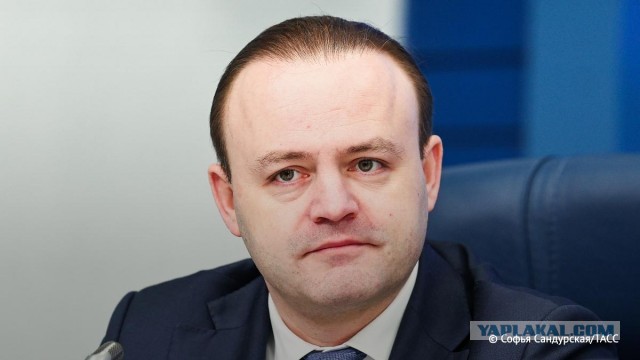 ТАСС: хайп депутата Даванкова становится уже неприличным