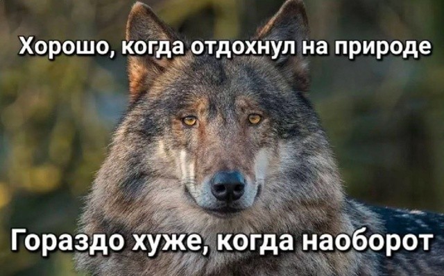 Хорошо, когда отдохнул на природе