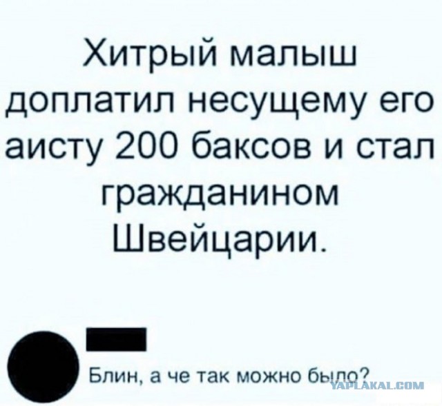 Веселые картинки в понедельник (22.09)