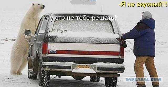 А ну стой! За проезд кто платить будет?!