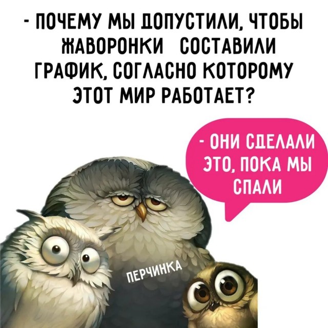 А вы сова или жаворонок?⁠⁠