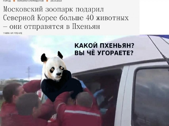 А помните мем?