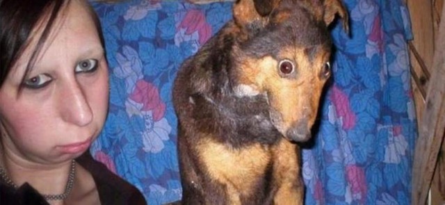 Эх вы