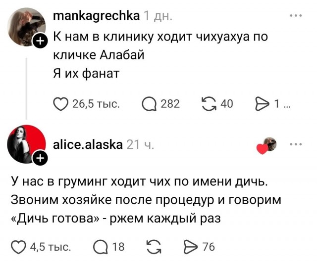 Забавные картинки, шутки из этих ваших интернетов