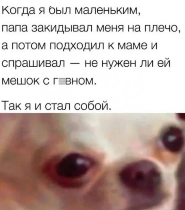 Картиночки, баянчики 25 июня