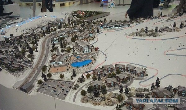 И снова о Олимпиаде