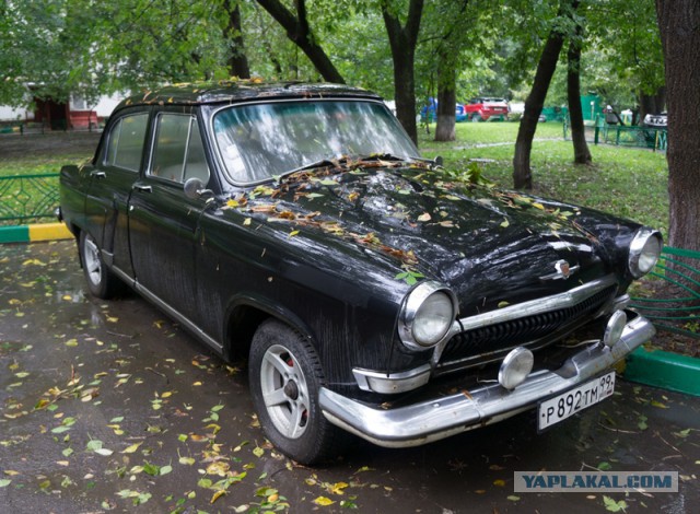 Привезли фотки по работе