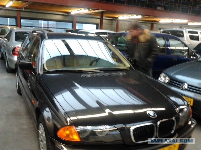 Где яблоки растут!