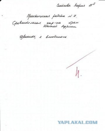 Извините, я влюбилась