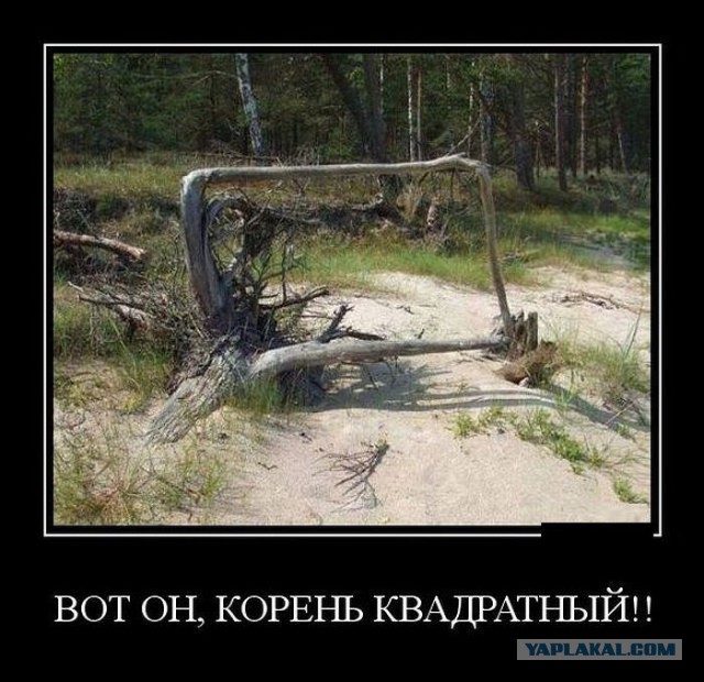 Позитивные картинки