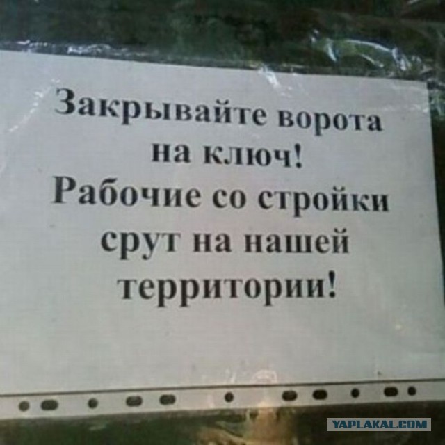 Весёлое из сети