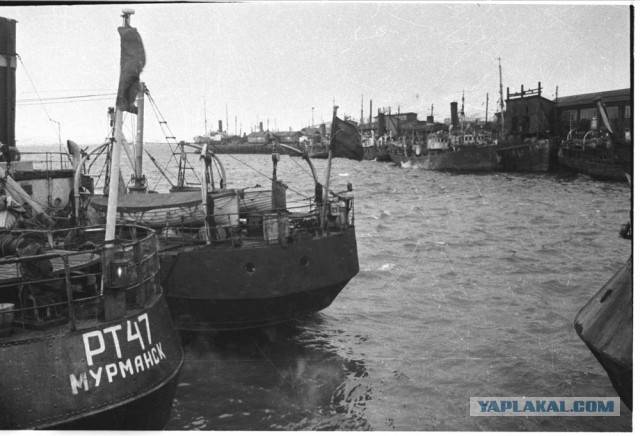 Фотографы войны. Северный флот