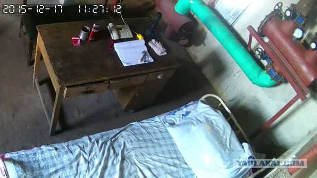 За что я люблю китайцев