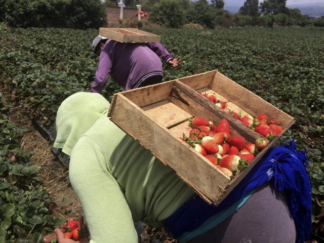 Подборка картинок 02.03.16