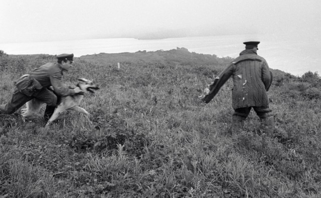 Советские пограничники