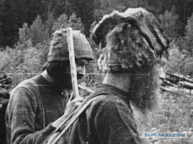 Тайга, страшные истории