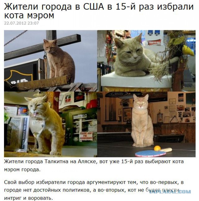 В Аризоне бородатую ящерицу агаму приняли в офицеры полиции для поиска наркотиков