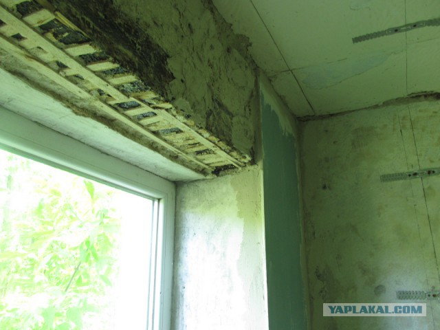 Нужно ли праздновать день рождения