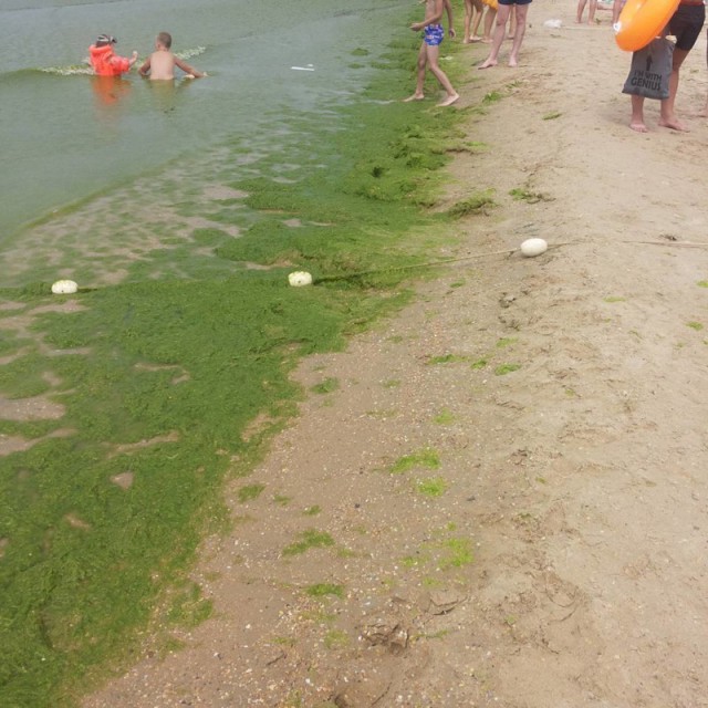Не попал на море в этом году? Отведи душу, посмотри этот пост!