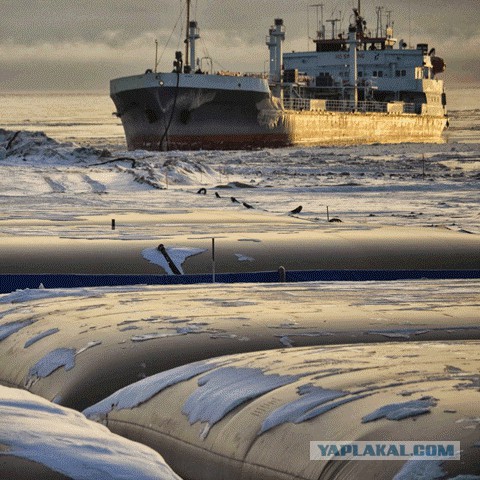 Хватит жаловаться: уехавшая в Швецию россиянка развенчала миф о хорошей жизни в Европе