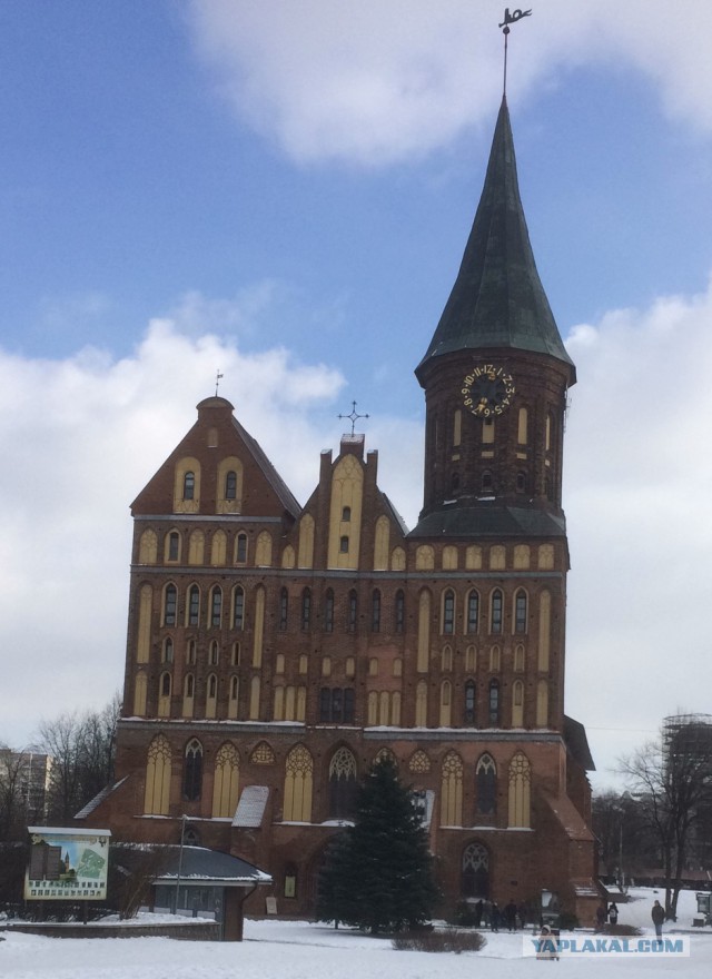 Поездка в Калининград
