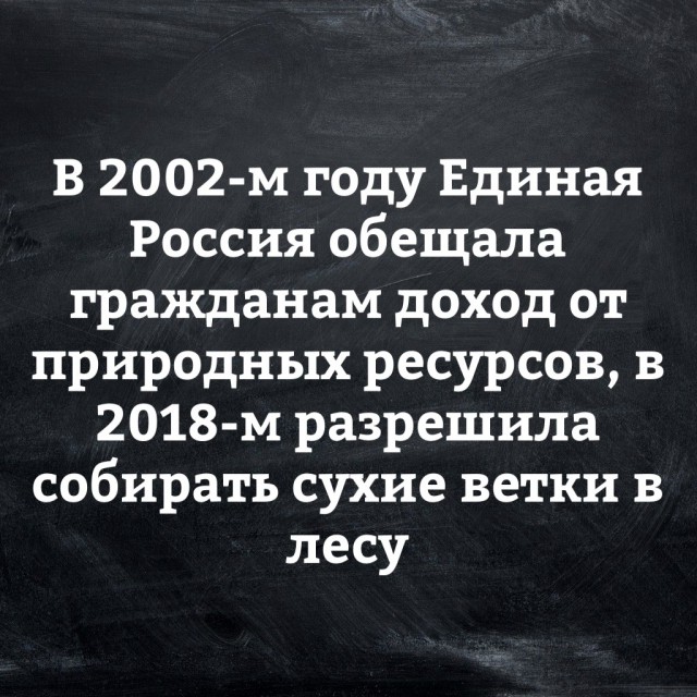 В Госдуме предложили разрешить россиянам бесплатно собирать валежник