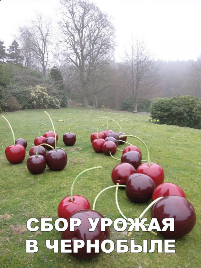 Прикольные картинки обо всём