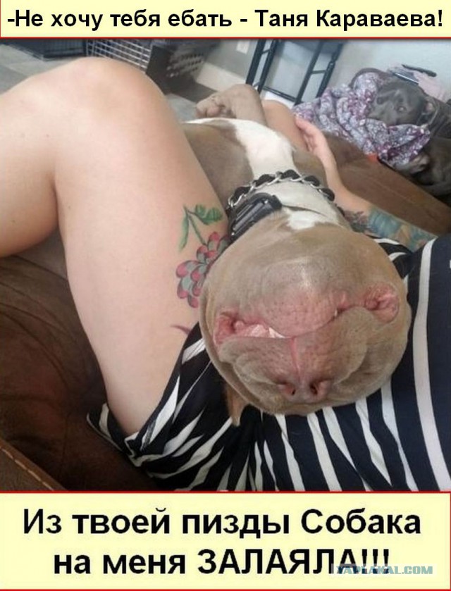 Да что тут вообще происходит?