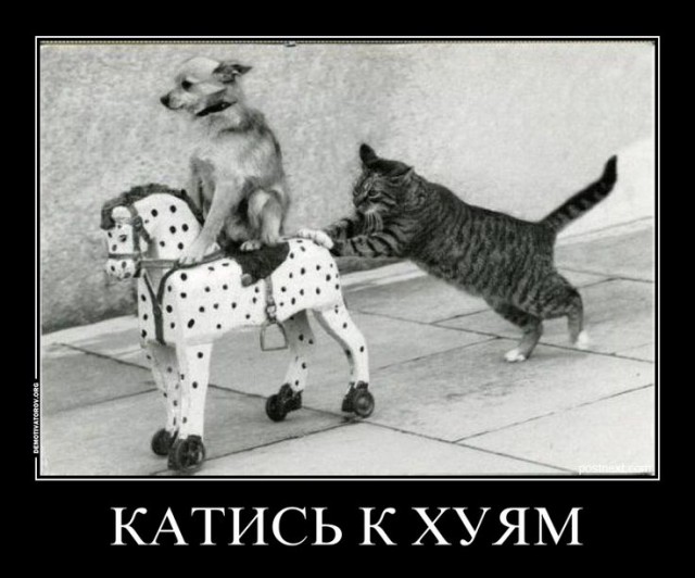 Пешеход оригинально перешел дорогу