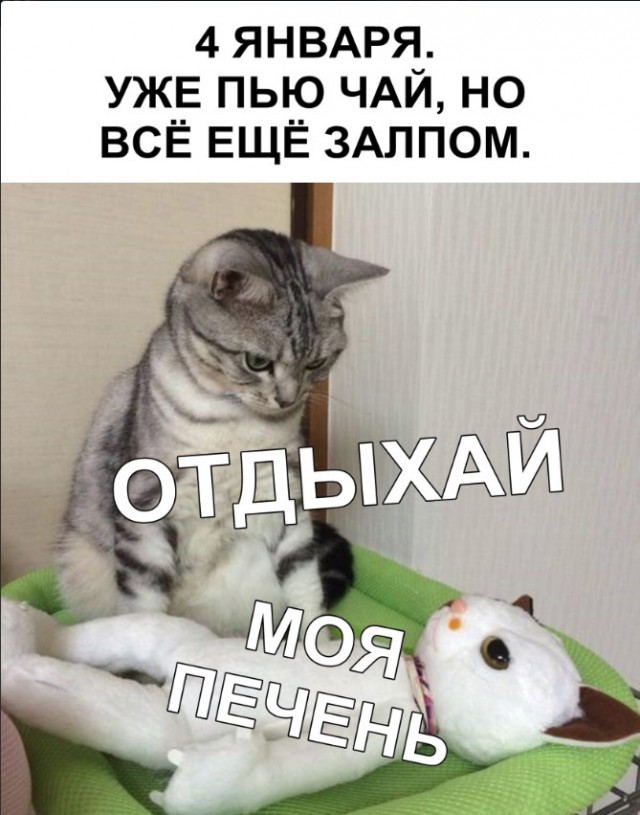 Прикольные картинки абавсём