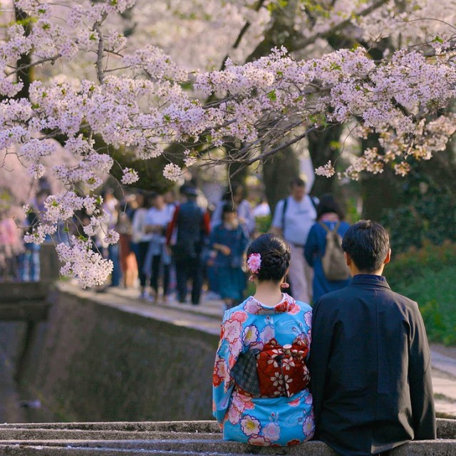 15 принципов жизни японцев, которые помогают им оставаться счастливыми