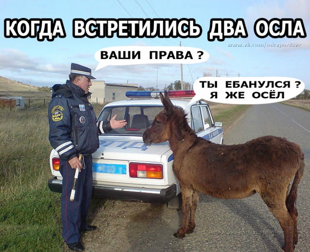 АнДиградаунт