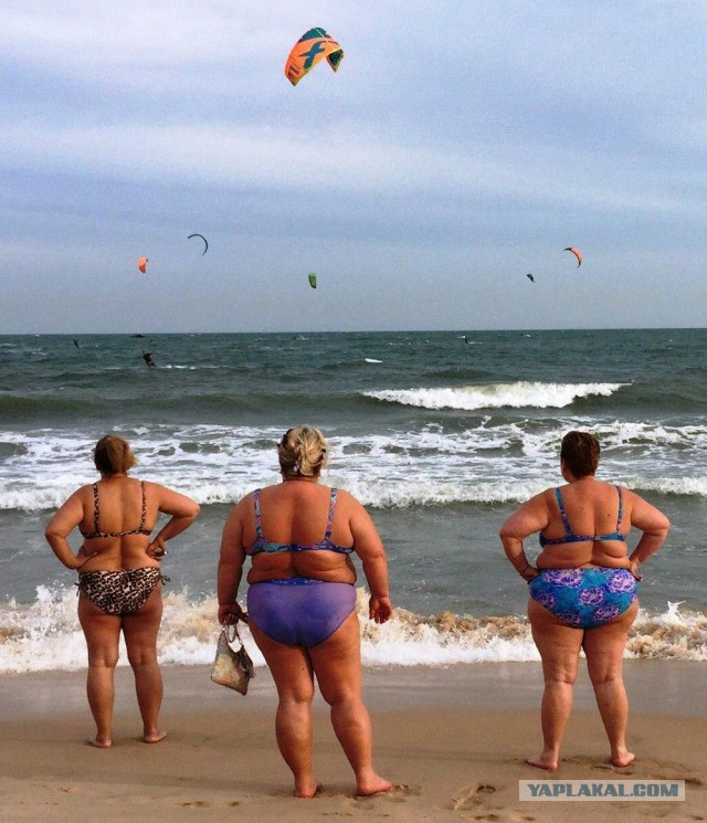 Скотсети и прочие интернеты 04.03.19