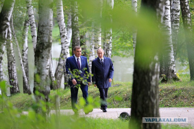 Как узнать будущего президента РФ?
