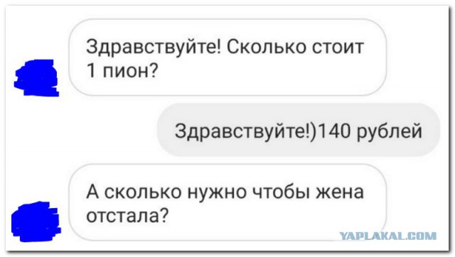 Прикольные комментарии и высказывания из Сети