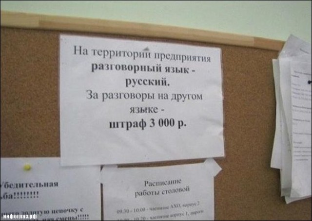 Перлы 12.08.2019