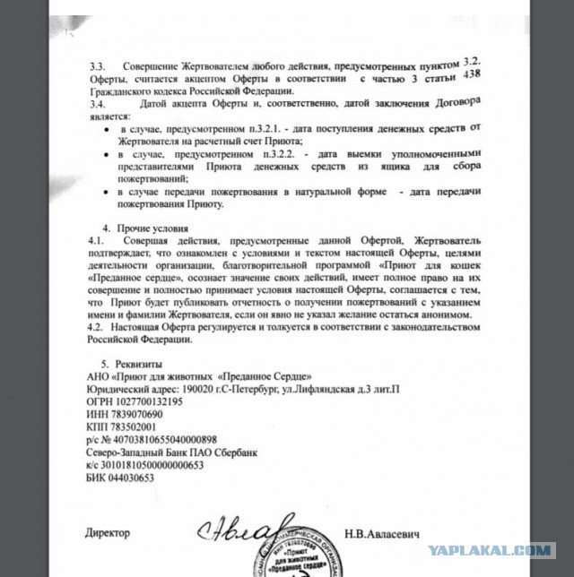 Помогите вернуть кота! Приют "Преданное сердце" украл кота и не отдает!-2