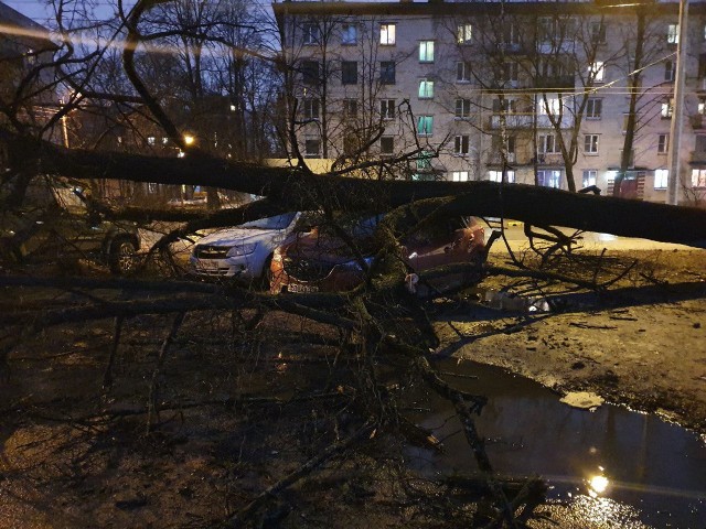 К Петербургу подступает шторм: "Только легкий ветерок твои краны колышет"