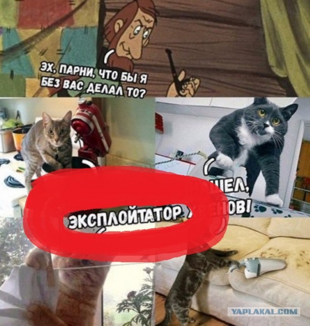 Колючие Муди