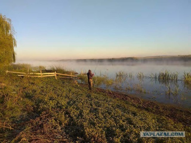 Эх, эта рыбалка