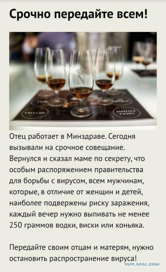Женщины в вечном поиске - это диагноз