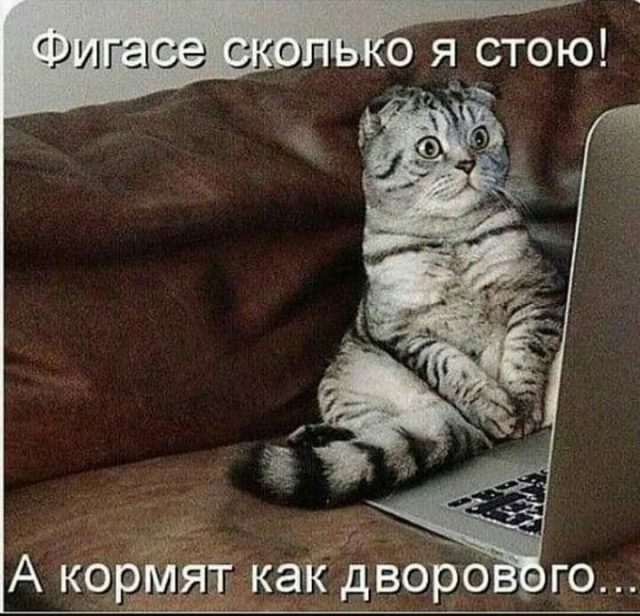 Картинки разнообразные. На злобу дня и на доброту