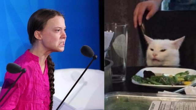Мем "женщина кричит на кота" и его варианты
