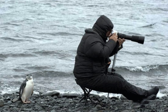 Внимательный фотограф