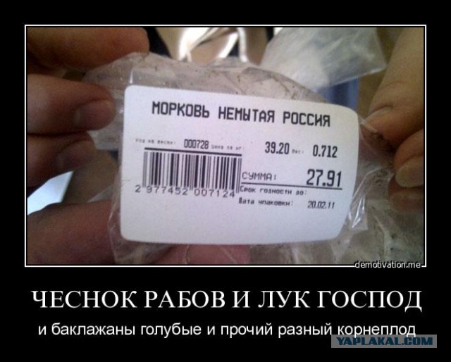 Жителя Самары оштрафовали на 4 000 рублей за ношение кепки с изображением конопли